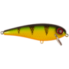 Orange Belly Perch