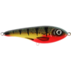 Red Perch