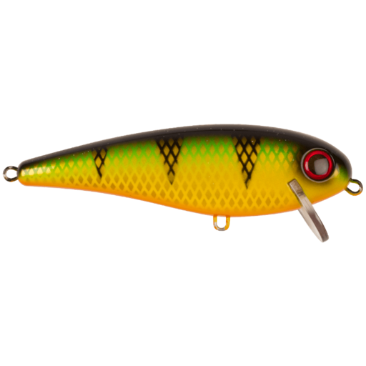 Orange Belly Perch